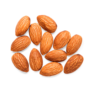 Almond PNG-50655